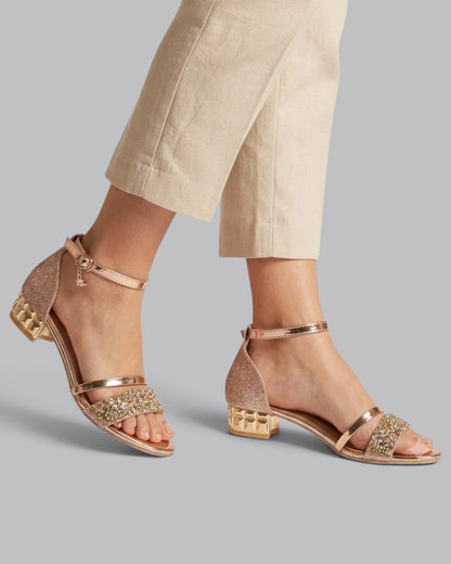 Women's Ankle Strap Sandals Low Heel